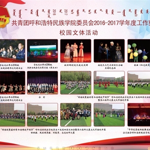 2017年度團委工作匯編